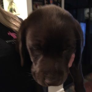 Meet your Posher, Kathy